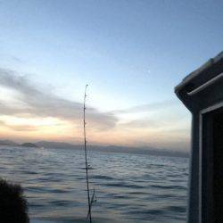 オフショアジギングでハガツオ、ハチビキ！