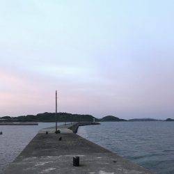 角島フカセ釣り！