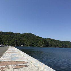 長門市仙崎人工島フカセ釣り！