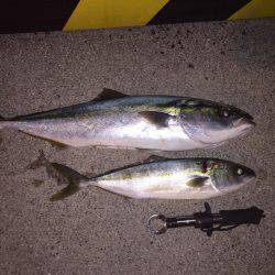 ショアジギング