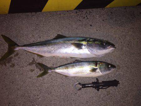 ショアジギング