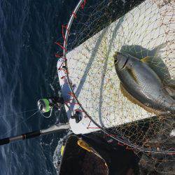 沖ノ島磯フカセ釣り