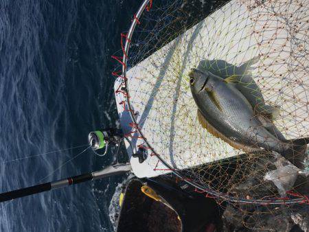 沖ノ島磯フカセ釣り