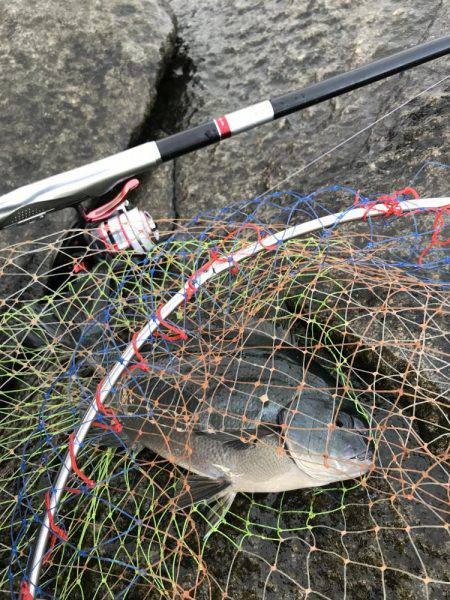 宿毛市沖ノ島 磯フカセ