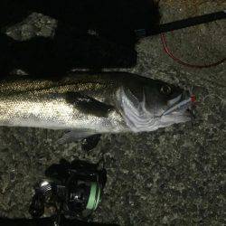 久々の鱸クラス