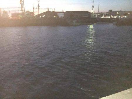 ライトワインドでガシラ