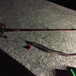 仕事終わりからの