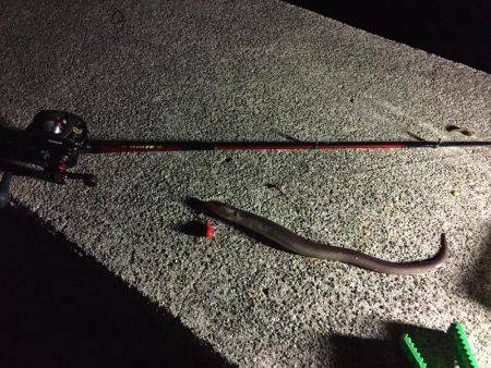 仕事終わりからの