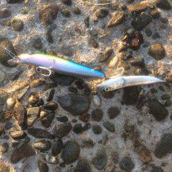 洲本から土生ランガン