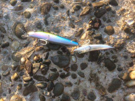 洲本から土生ランガン