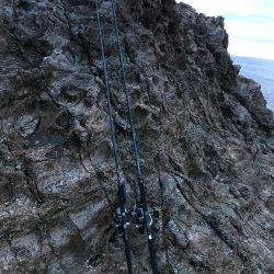 ヒラマサトップ