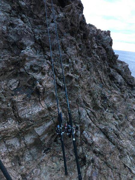 ヒラマサトップ