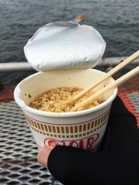 やっとエギング開幕 アオリじゃないけど