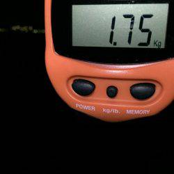 初のキロアップ