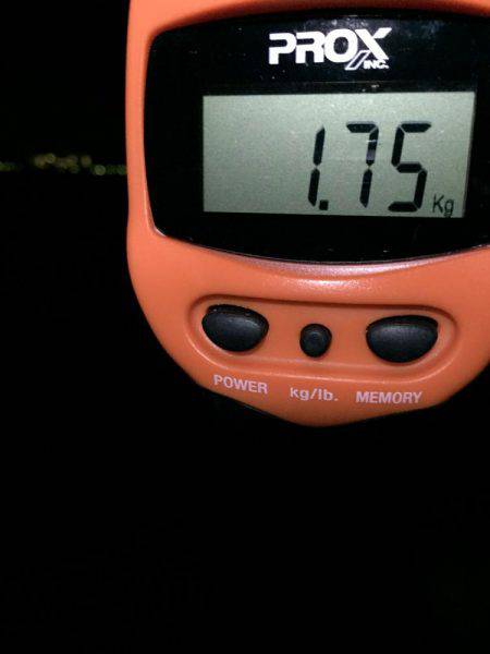 初のキロアップ