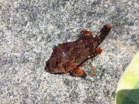 アブ新はどこ？