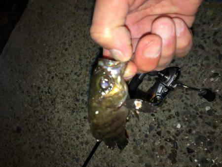 趣向を変えて‥