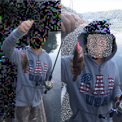 デイガシリング