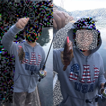 デイガシリング