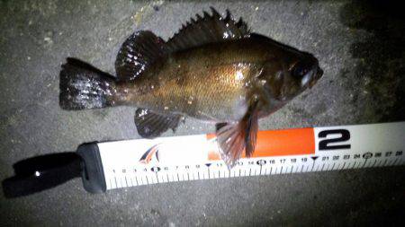 ﾒﾊﾞﾘﾝｸﾞ苦戦