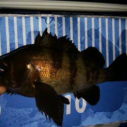 穴釣りのちメバリング