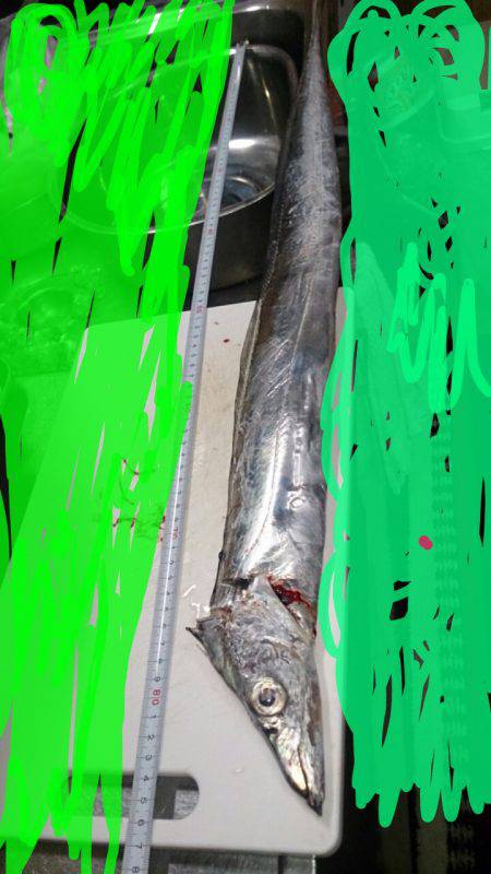 ヘビーワインド