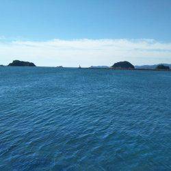 阿南市の辰巳周辺でマゴチ