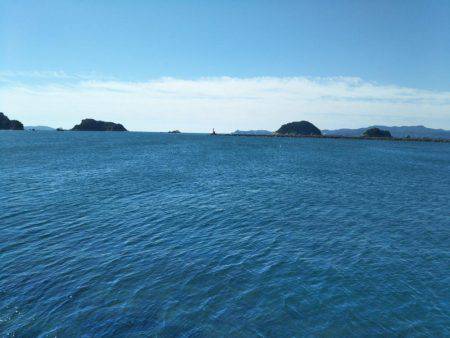 阿南市の辰巳周辺でマゴチ