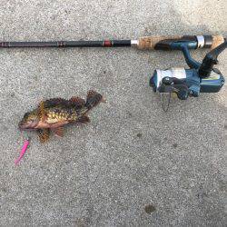 ライトショアジギング ガシリング