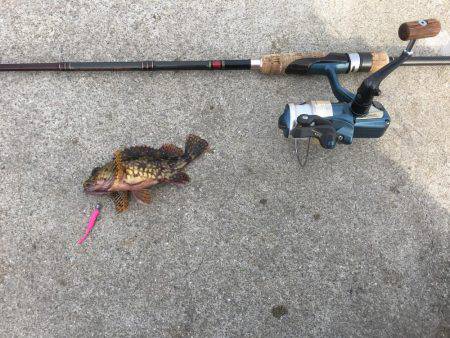 ライトショアジギング ガシリング