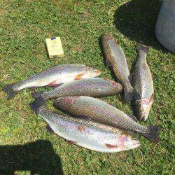 ニジマス釣り堀