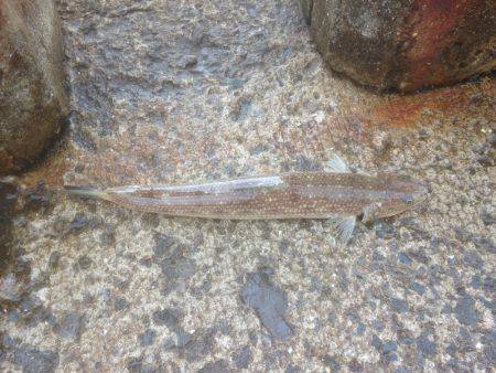 エソが〜フォー