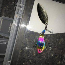 デイシーバスキャッチ！