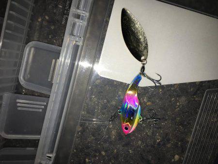 デイシーバスキャッチ！