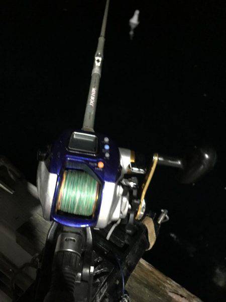 舞鶴五目釣り 大物あり