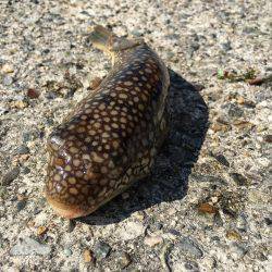 もったいない！