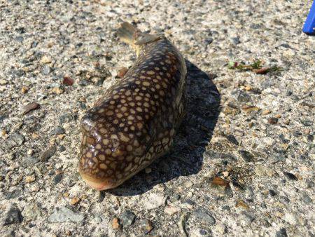 もったいない！