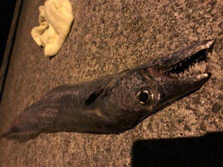 今年初のドラゴン