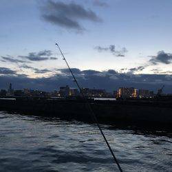 フッコ釣れました！