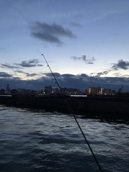 フッコ釣れました！