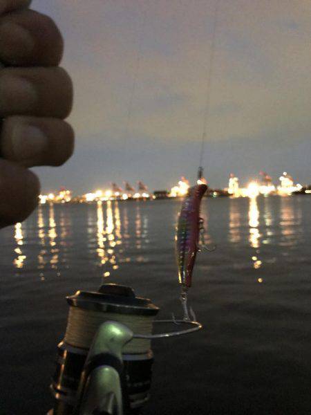 青海南シーバスチャレンジ！新記録ラッシュ！