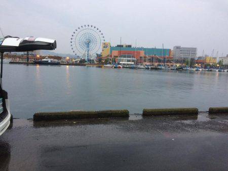 江尻埠頭 イワシとカサゴ