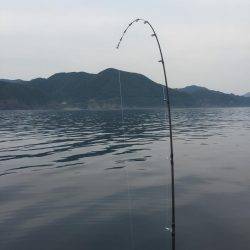 今日はジグ反応ほぼなし！鯛ラバ大活躍！