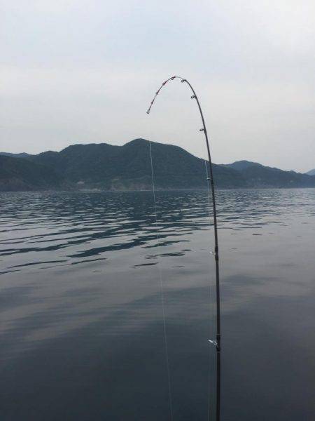 今日はジグ反応ほぼなし！鯛ラバ大活躍！