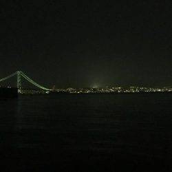 潮のタイミング合いません。。。