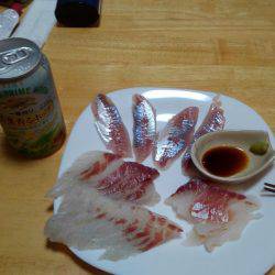 フカセ釣り初挑戦