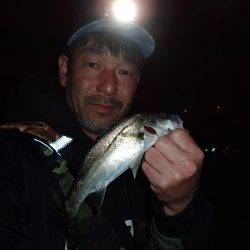 スーパーライトゲーム