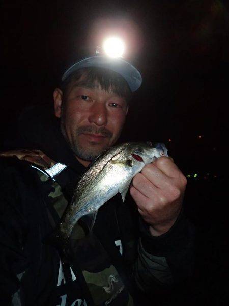 スーパーライトゲーム