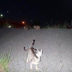 子供の送迎の合間に♪