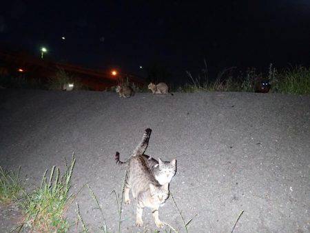 子供の送迎の合間に♪